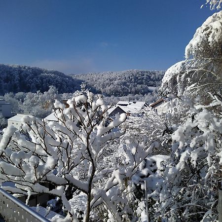WutoschingenBlick Ins Wutachtalアパートメント エクステリア 写真